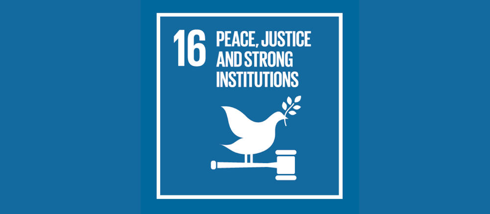 Youth participation